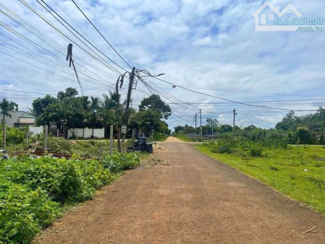 BÁN LÔ ĐẤT MẶT TIỀN ĐƯỜNG KA11 – PHƯỜNG TÂN AN, TP. BMT - 2