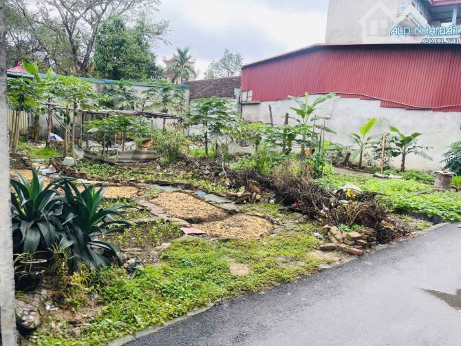 - 112m mt 5m đường như thế này tại Hương Mạc- Từ Sơn- Bắc Ninh  - 100m sang ngay Vân Hà -Đ - 2