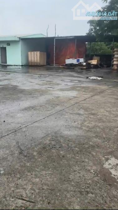 * Cho thuê đất*3000m2 nền bê tông đường Võ Nguyên Giáp, phường Trường Thọ, Quận Thủ Đức - 2