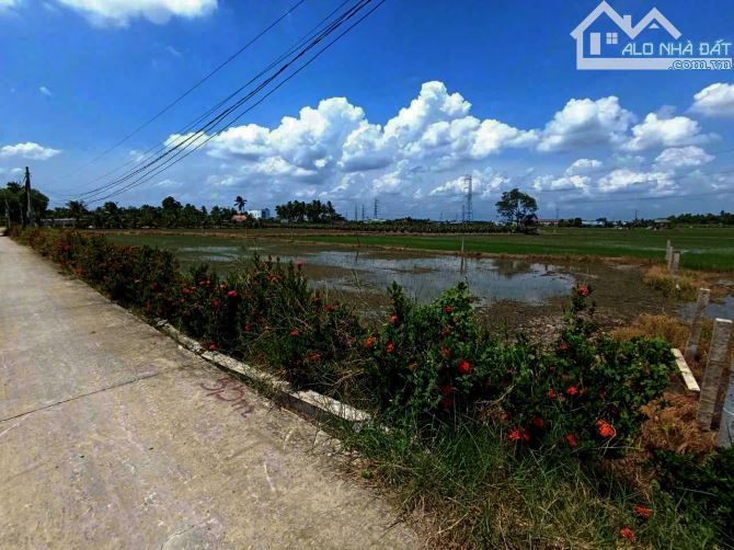 Thổ cư 330tr (Ngang 5m) . sau lưng trường Nguyễn Văn Đậu - Bình Lãng, Tân Trụ, Long An - 2