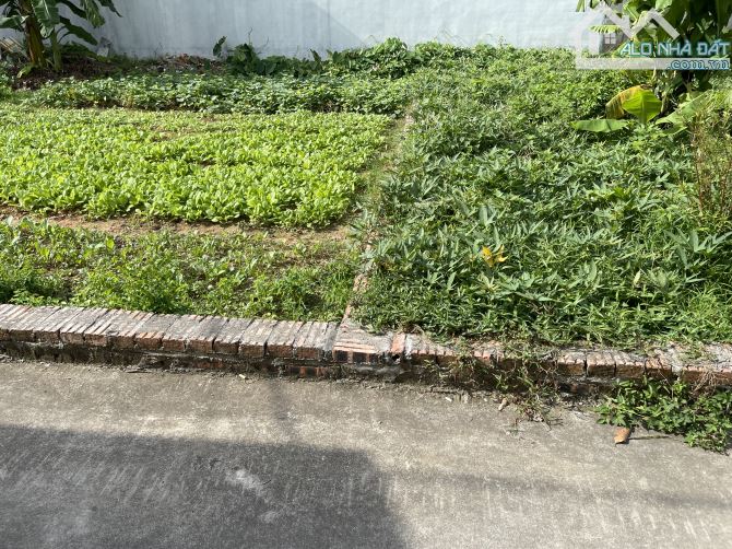 Chủ cần tiền muốn bán nhanh mảnh đất 2 mặt tiền tại sóc Sơn - 2