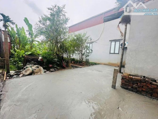 Cần bán đất đẹp 52,9 tại thôn hoàng trạch Văn Giang - 2