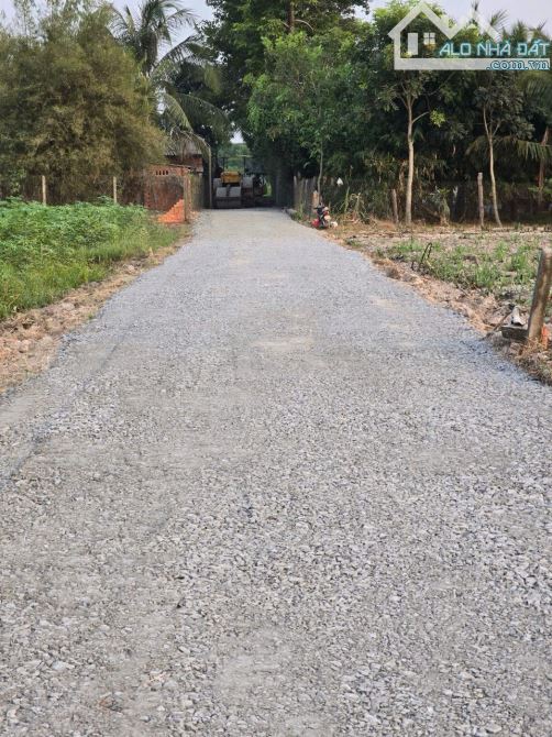Sót lại 1 lô duy nhất đồng khởi, châu thành, 7x42 có 50m2 thổ cư, giá 290 triệu - 2