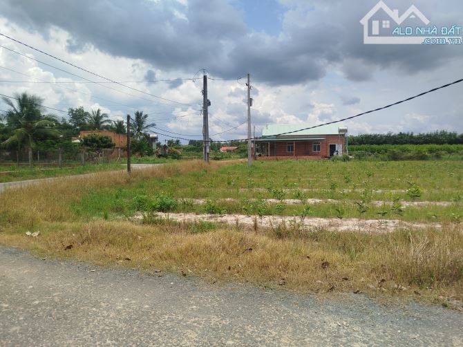 1,3 mẫu đất 2 mặt tiền nhựa 230m Đất ấp Thạnh Tân,Xã Thạnh Tây Tân Biên, Tây Ninh - 2
