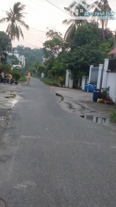 KHU PHỐ ĐÊM NHỘN NHỊP - CHỢ VIỆT KIỀU ĐƯỜNG LƯU BÌNH HƯƠNG CỦ CHI - 184M2 - FULL THỔ CƯ - - 2