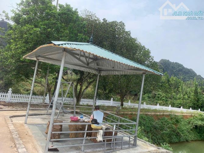 Cần chuyển nhượng nhà vườn  cạnh sân bóng dẻ cau, cách chợ đồi sim -luơng sơn gần 3km - 2