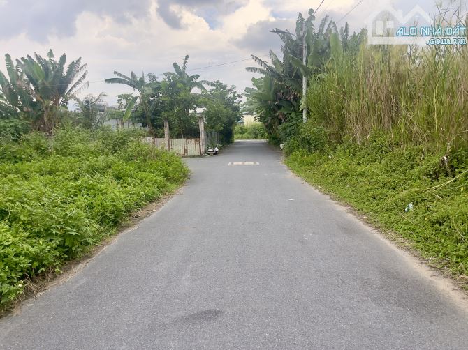 Cần bán nền mặt tiền nhựa phường Trà Vinh giá rẻ nhất khu - 2