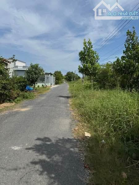 💎Cặp nền Đất Đẹp (5 x 29m) nhựa đê bao Long Hưng gần Công ty May Việt Long Hưng - 3
