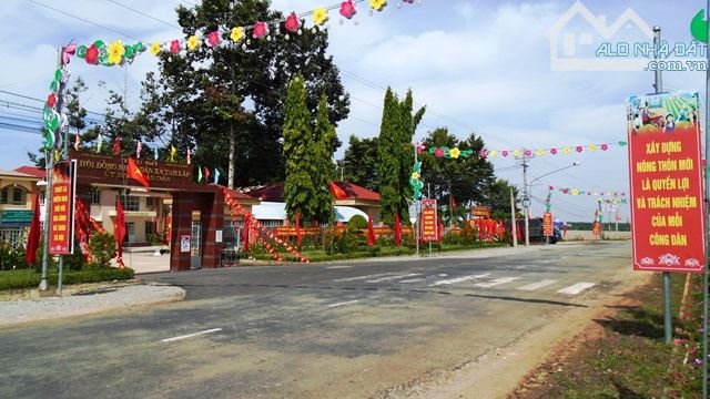 Cần Bán Gấp Lô Đất Ngay Đối Diện Trường Học Mặt Tiền Đường Nhựa 650tr - 3