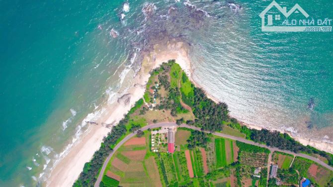 🌊 BÁN ĐẤT BIỂN GIÁ CHỈ TỪ 4XX – 7XX 🌊 - 3