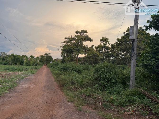 Đất làm kho bãi ngay đường Hồ Chí Minh gần nút giao lên cao tốc - 3