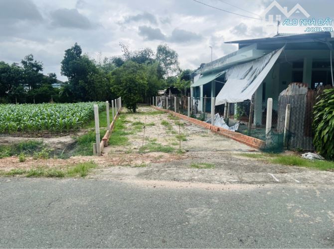 Chủ kẹt tiền cần bán gấp lô đất thổ cư 172m2 sau lưng Uỷ ban xã Thái Mỹ-Củ Chi - 3