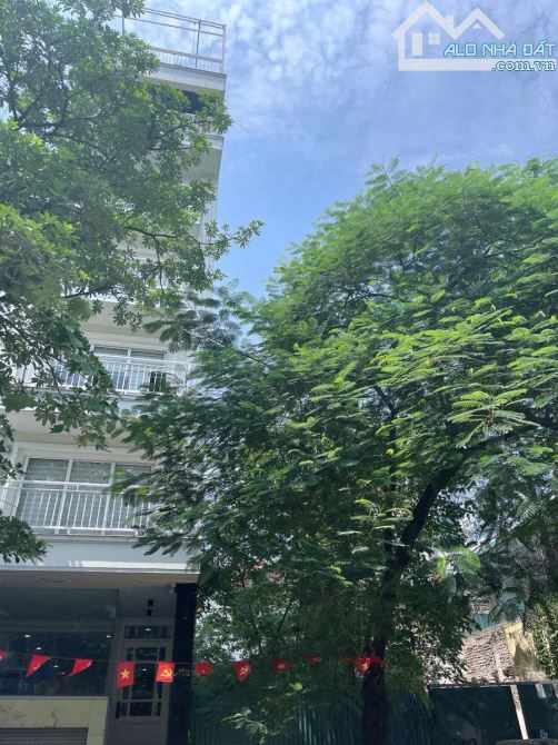 300m2 Đất thổ cư Hoàng Mai nở hậu cực hiếm - 3
