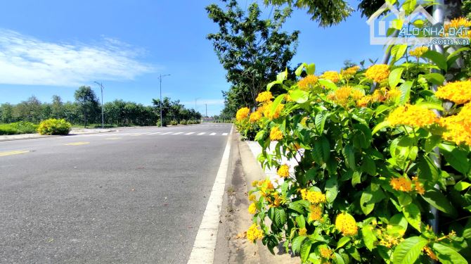 Lô đất full thổ cư hướng Nam, khu dịch vụ hỗn hợp VSIP, gần cổng, xây trọ kinh doanh ngay - 3
