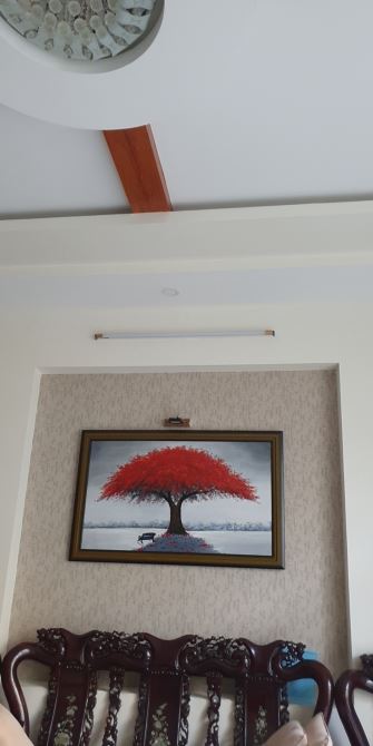 🌟 BÁN NHÀ 1 TRỆT 3 LẦU MẶT TIỀN KÝ CON P.4– GẦN BIỂN BÃI TRƯỚC – 89M² – GIÁ 12 TỶ 🌟 - 3