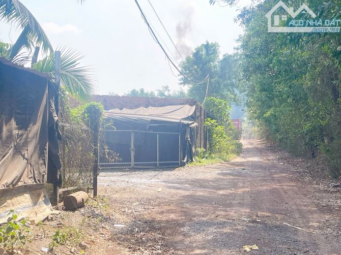 D147 BÁN LÔ ĐẤT – CƠ HỘI ĐẦU TƯ GIÁ HỜI 10TY Vị trí: Lon - 3