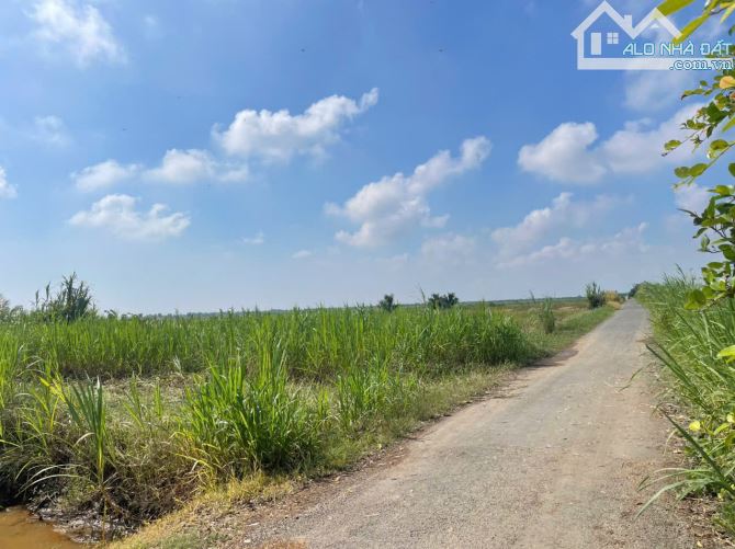 1 công đất thổ - vườn, mặt tiền nhựa gần biển Rạch Bùn, Tân Điền, TG bán 1 tỷ. - 3