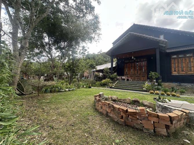 Bán Đất Nghỉ Dưỡng Ngay Chân Đèo Pren – Tổ Hợp Villa Riêng Biệt Giữa Núi Rừng Hiệp An - 3