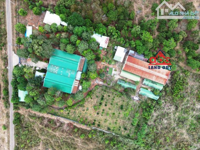 Bán xưởng đang hoạt động sản xuất thủ công mỹ nghệ - 3
