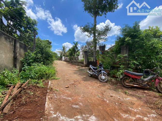 🅿️❇️Đất đường 22A Hoà Thuận, Đạt Lý, phường Tân An, 995 triệu, 5x38m❇️ - 3