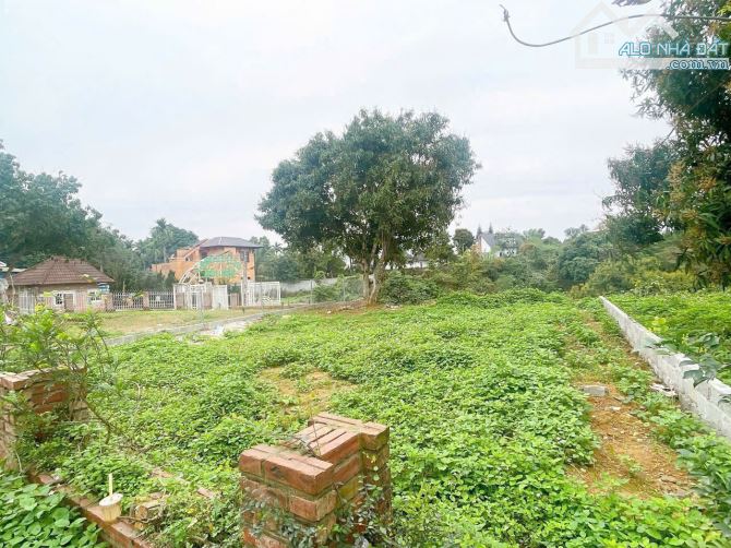 – BÁN NHANH LÔ ĐẤT TRONG KHU NGHỈ DƯỠNG ĐỒI HÀU – CƯ YÊN, LƯƠNG SƠN - HÒA BINH - 3