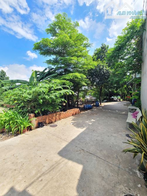 4,4Tỷ TL🔥Bán đất 2MT trước sau 190,8m2 cách đường Đoàn Thị Kia 100m_p.Tân Đông Hiệp_Dĩ An - 3