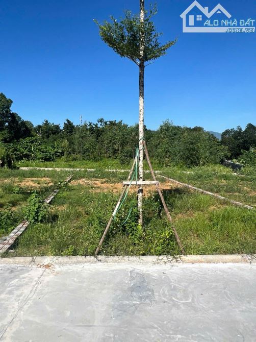 100M2 FULL ĐẤT Ở; PHÚ CÁT, GIÁ CHÍNH CHỦ, HƠN 2 TỶ - 3