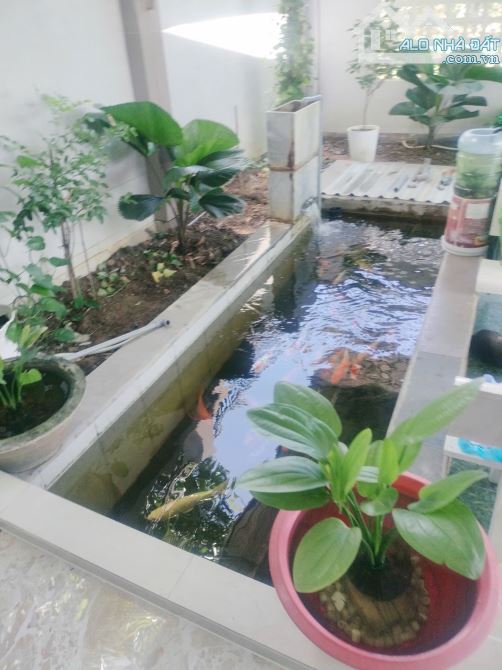 Bán đất tặng nhà có sẵn hồ cá cây cảnh,sân để xe hơi diện tích 297m chỉ 5ty3=gần 18tr/m - 3