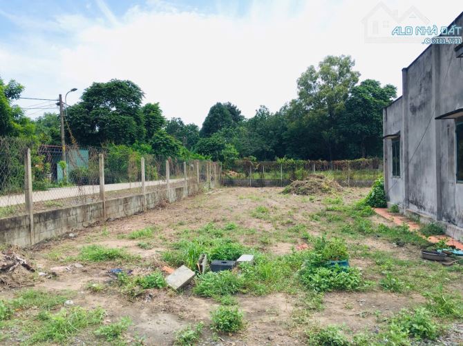 Bán nhà vườn sát đường Nguyễn Văn Khạ xã Phú Hòa Đông Củ Chi TPHCM, DT: 38x38m. - 3