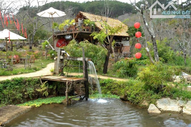 ✨ CƠ HỘI VÀNG – SANG NHƯỢNG HOMESTAY DU AN GARDEN TẠI D’RAN, LÂM ĐỒNG - 3