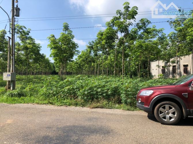 Cần Bán Gấp Lô Đất Ngay Đối Diện Trường Học Mặt Tiền Đường Nhựa 650tr - 4