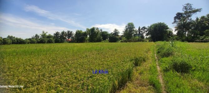 🔰 Bán đất lúa: 42.000m² (23m x 557m, nở hậu 71m) Đường nhựa 5m, xã Phú Hiệp, H Tam Nông - 4