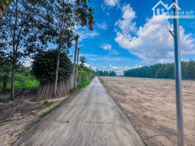 🌿 BÁN ĐẤT - HẺM QUỐC LỘ 55 - (25x40) - QUY HOẠCH ONT 100% - 1 TỶ 500 TRIỆU 🌿 - 4