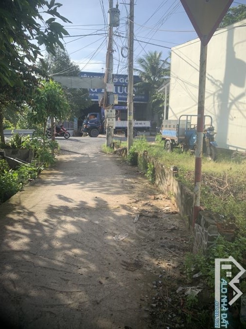 Nền Mỹ Phong gần THCS Lê Văn Nghề - 4