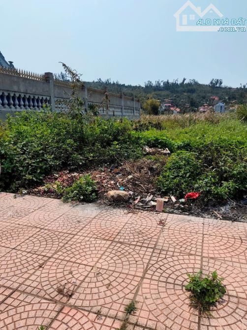 Lô biệt thự tuyến 2 Thanh Niên, Ngọc Xuyên, Đồ Sơn, Hải Phòng 170m. - 4