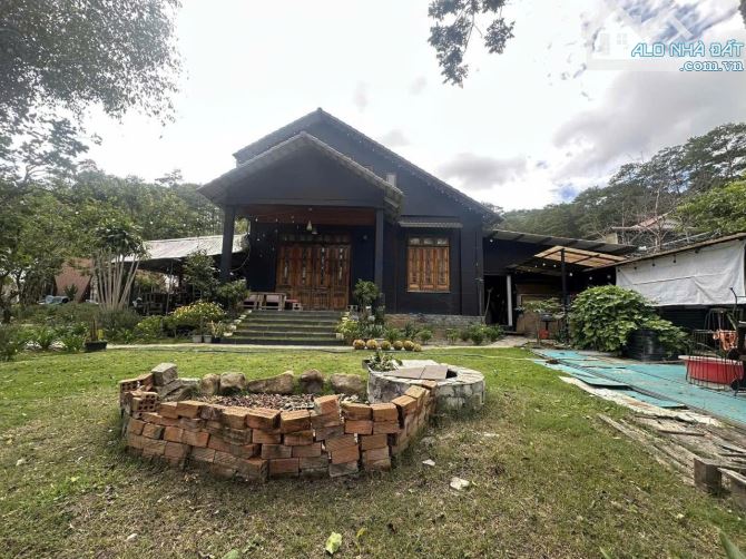 Bán Đất Nghỉ Dưỡng Ngay Chân Đèo Pren – Tổ Hợp Villa Riêng Biệt Giữa Núi Rừng Hiệp An - 4