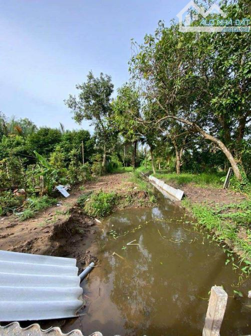 Bán nhà vườn 500 m2  nghỉ dưỡng gần chợ Mỹ Khánh - 4