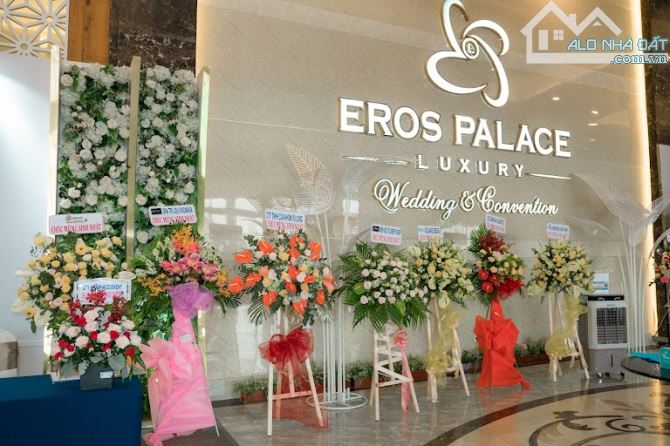 BÁN 2 LÔ ĐẤT P.TÂN TIẾN SỔ HỒNG RIÊNG THỔ CƯ, HẺM NHỰA 6m THÔNG THOÁNG - 4