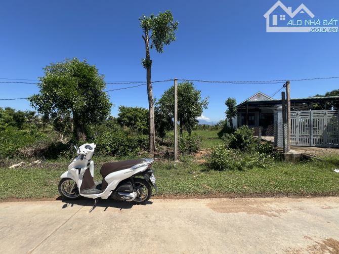 Bán đất dt 942m2 mặt tiền đường Gò Sắn Vườn Đào Ninh Hưng - 4