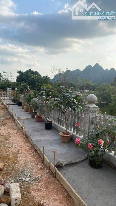 Cần chuyển nhượng nhà vườn  cạnh sân bóng dẻ cau, cách chợ đồi sim -luơng sơn gần 3km - 4