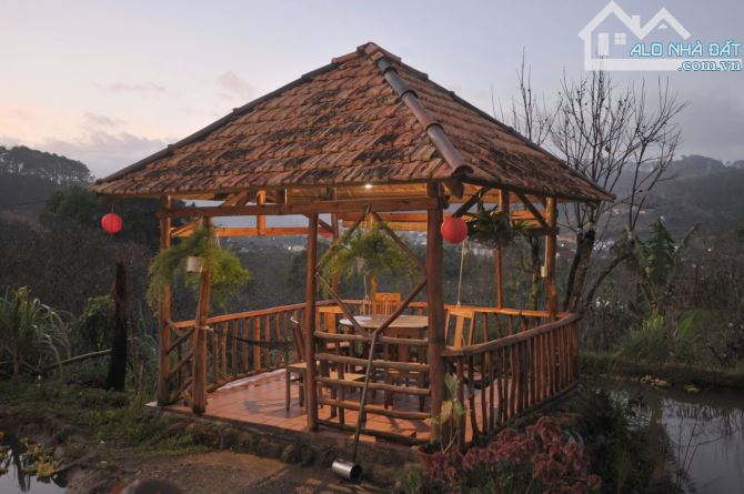 ✨ CƠ HỘI VÀNG – SANG NHƯỢNG HOMESTAY DU AN GARDEN TẠI D’RAN, LÂM ĐỒNG - 4