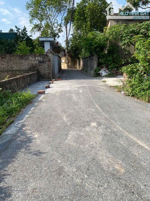 Bán nhanh lô đất cực đẹp, Thôn Lộc Hà, Mai Lâm, Đông Anh, 42m², ôtô 7 chỗ vào, giá đầu tư! - 4