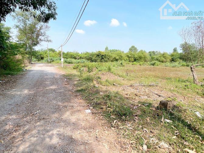 D147 BÁN LÔ ĐẤT – CƠ HỘI ĐẦU TƯ GIÁ HỜI 10TY Vị trí: Lon - 5