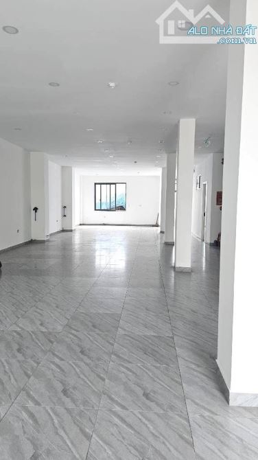CHDV 4 tầng 18 phòng đường AN PHÚ ĐÔNG 9, Q12, DT 442m2 (11 x 40), đường 12m có thang máy. - 5