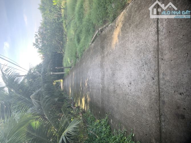 Nền Mỹ Phong gần THCS Lê Văn Nghề - 6