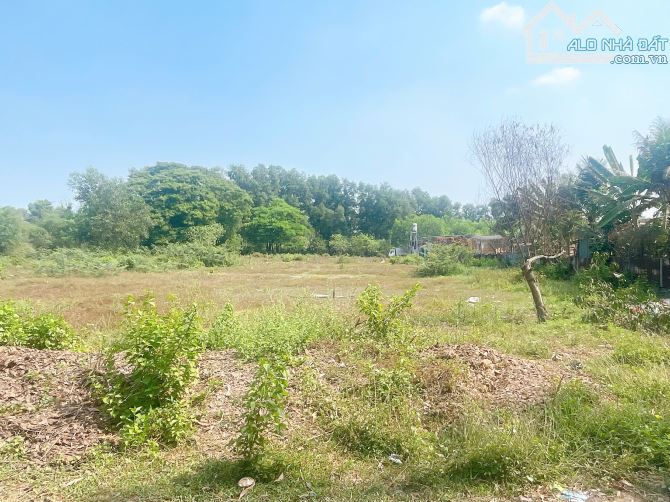 D147 BÁN LÔ ĐẤT – CƠ HỘI ĐẦU TƯ GIÁ HỜI 10TY Vị trí: Lon - 6