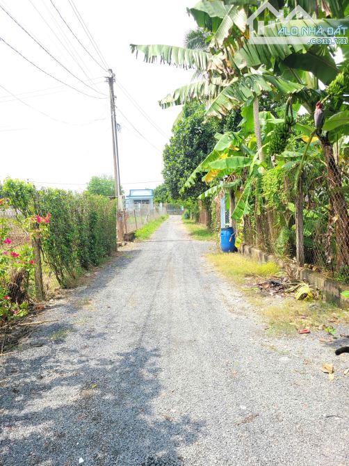 Bán đất 4x23.5m, hẻm Phạm Văn Diêu p. Tân Hạnh gần chợ Tân Hạnh - 6