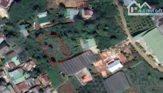 Đà Lạt - Đất nn chuyển được thổ cư - Xuân Trường - 1000m2 - 2,8 tỷ - 6