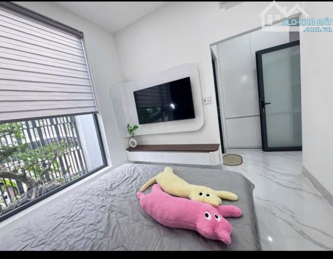 NHÀ BÁN ĐƯỜNG G - CƯBUA PHẠM NGŨ LÃO GẦN MỌI TIỆN ÍCH - Loctran - 6