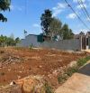 BÁN LÔ ĐẤT (500m2) THỔ CƯ HẺM C1 MAI THỊ LỰU THÔNG 19/5 - Y NUê